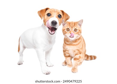 英亚体育足球社区文化建设与青少年普及推广策略