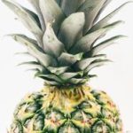 CCTV-1综合频道高清在线直播实时观看入口 td85noj9