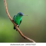 《得到》直播:知识盛宴,与智者对话的精彩时刻 m3x9s9va