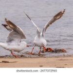 《快乐大本营》现场直播精彩瞬间不容错过 w3squyvm5