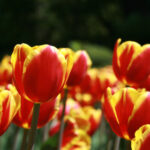 《娘道》江苏卫视在线直播观看指南 y651o